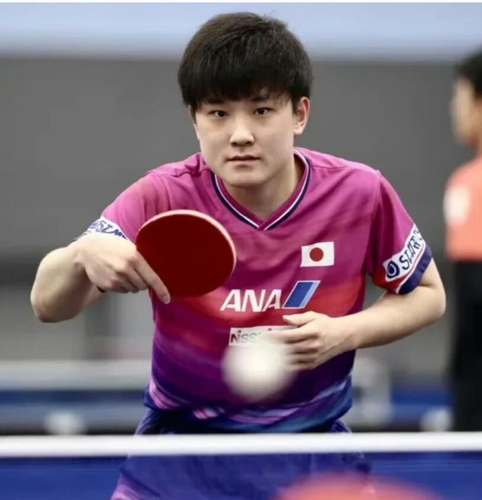张本智和分析伦敦世乒赛阵容：日法男乒整体厚